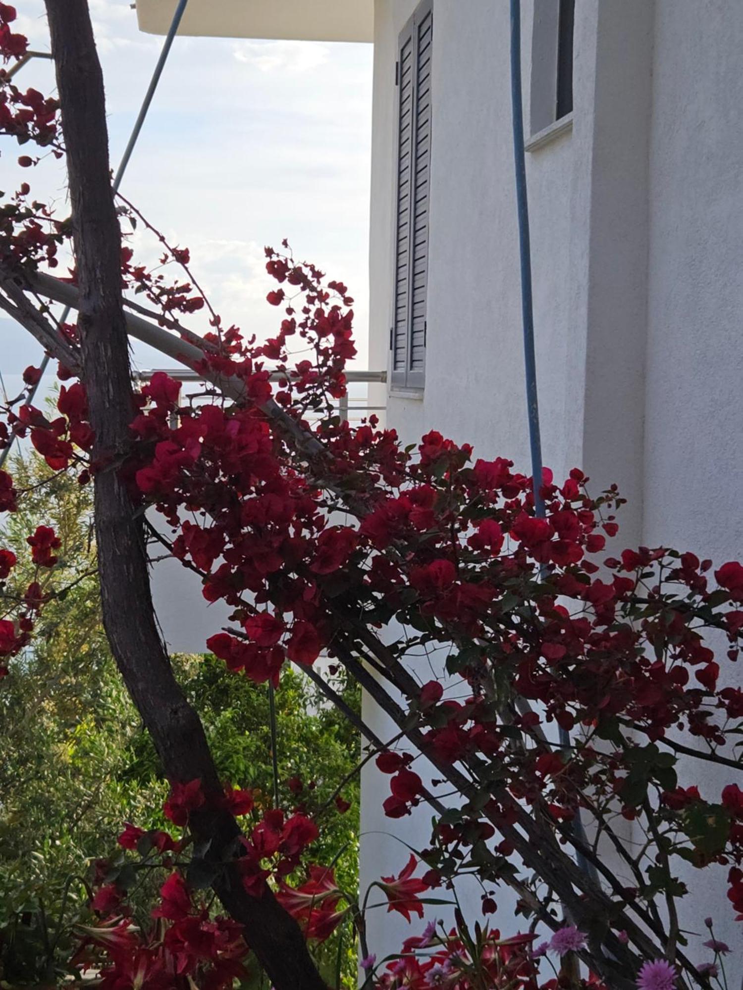 Nora'S Guesthouse Sarandë 外观 照片